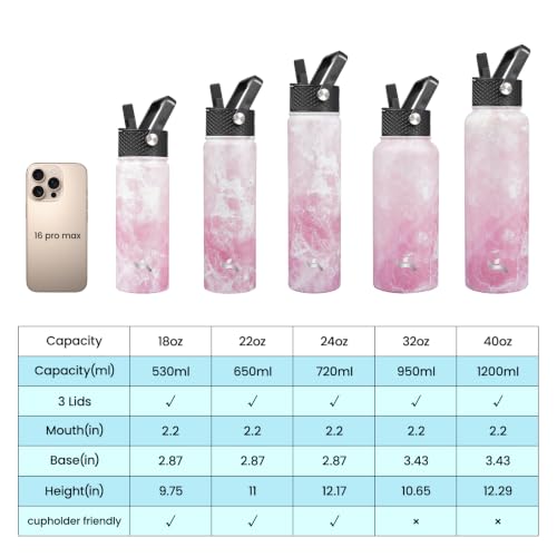 18 oz Insulated Stainless Steel Water Bottle with Straw Lid