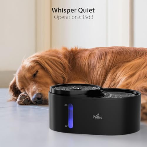 Waterfall Dog Water Fountain