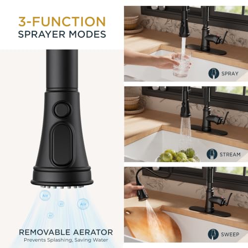 Black Kitchen Faucet with Pull Down Sprayer