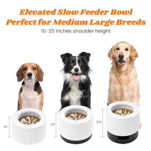 Elevated 60oz Slow Feeder Dog Bowls Large Breed Raised Food Bowl