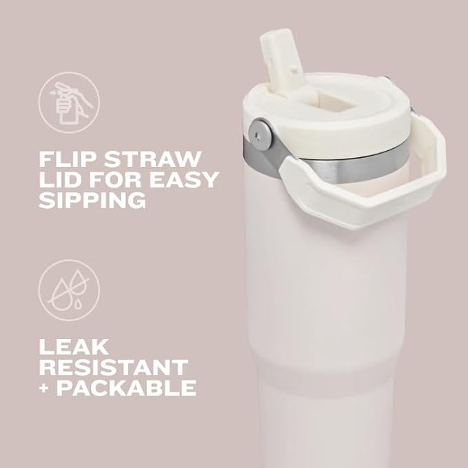 Stanley IceFlow Flip Straw Tumbler with Handle 20 oz | Twist On Lid and Flip Up Straw | Leak Resistant Water Bottle | Insulated Stainless Steel |BPA-Free | Tigerlily Plum