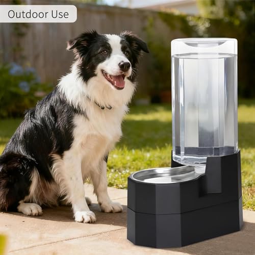 9L Elevated Dog Water Dispenser