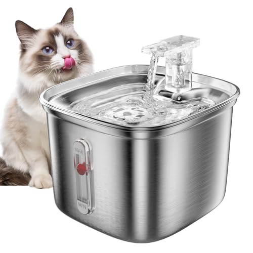 Cat Water Fountain