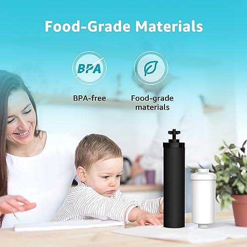 Black and Fluoride Water Filter (4 Count)