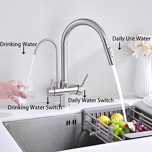 Kitchen Faucet with Pull Down Sprayer