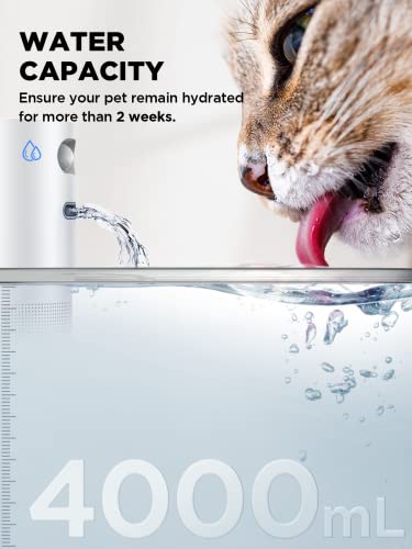 Cordless Cat Water Fountain Battery Operated
