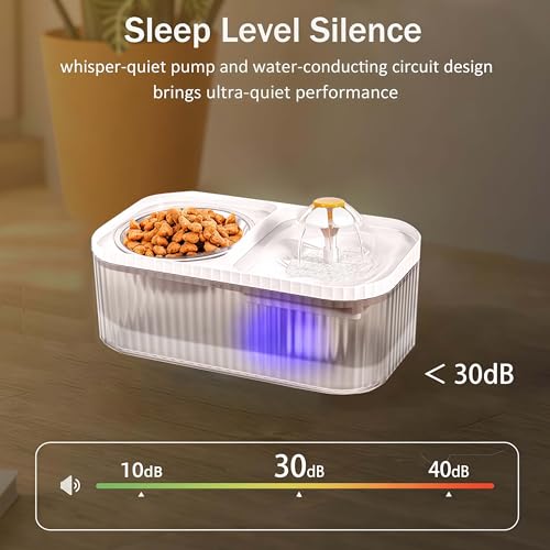 Cat Water Fountain and Stainless Steel Food Bowl