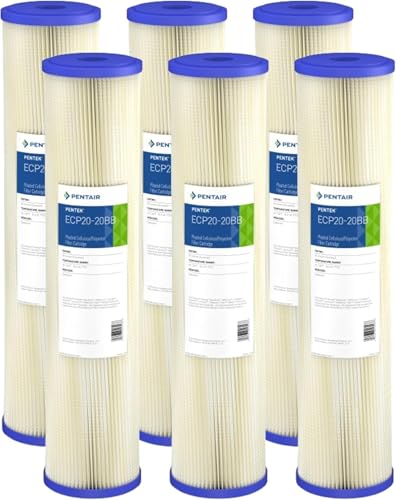 Pentair Pentek ECP20 (6 Count)