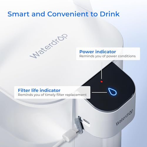 ED01W Electric Water Filter Pitcher