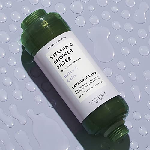 Vitamin C Shower Filter (2 Count)