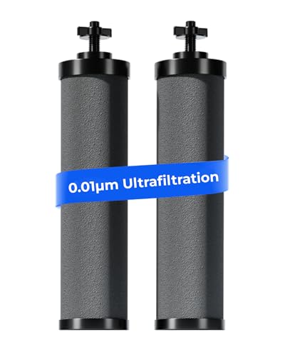 Ultrafiltration] Waterdrop Water Filter (2 Count)