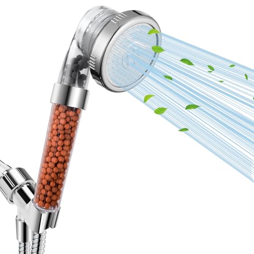 Filtered Shower Head with Handheld