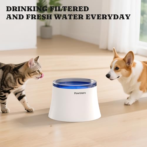 Dog Water Fountain