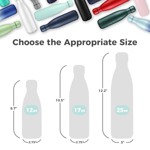 17oz Insulated Stainless Steel Water Bottle