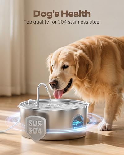 Dog Water Fountain for Large Dogs