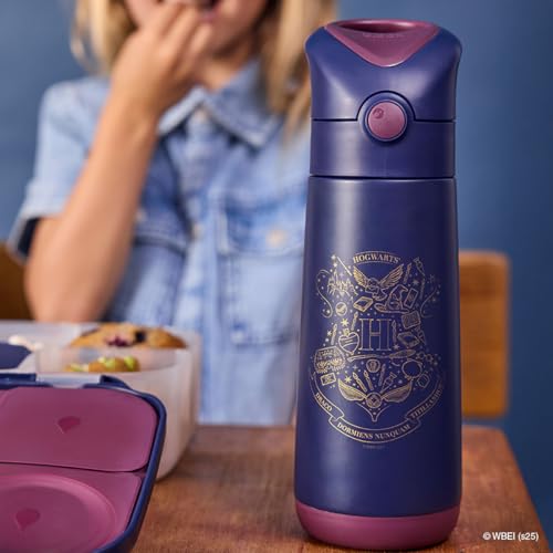 Harry Potter Insulated Water Bottle for Kids