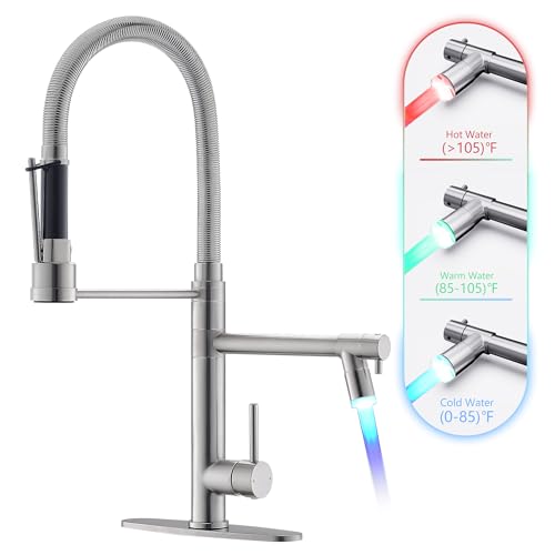 Dual Spout Kitchen Sink Faucet