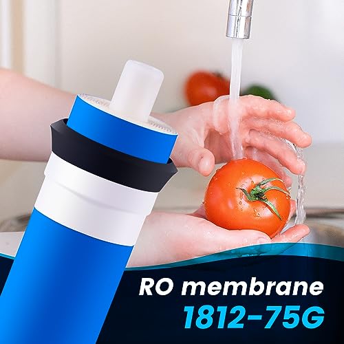 Membrane for Reverse Osmosis Membrane GPD