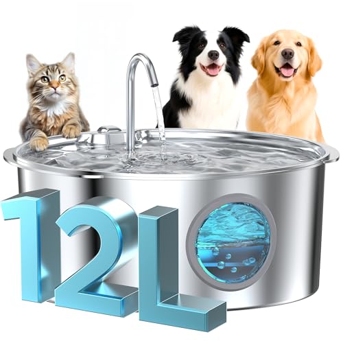 Dog Water Fountain for Large Dogs