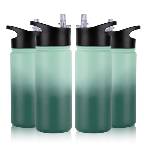 16 oz Insulated Water Bottle Bulk 4 Pack (4 Count)
