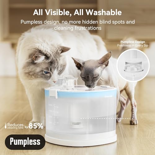 Pumpless Cat Water Fountain