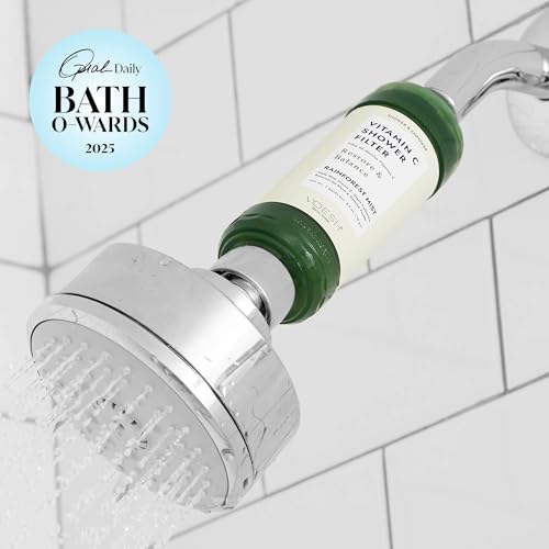 Vitamin C Shower Filter (2 Count)