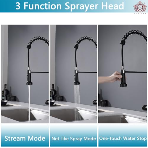 Kitchen Faucet with Temperature Digital Display