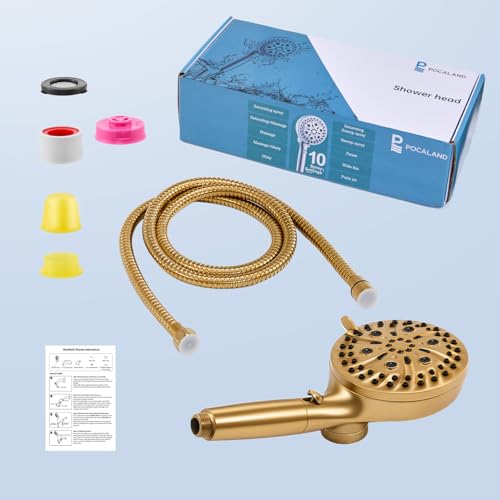 Filtered Shower Head with Handheld
