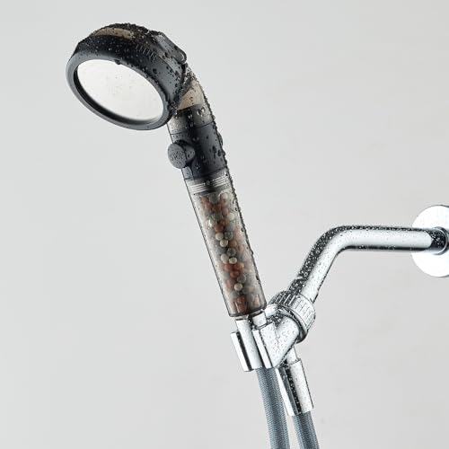Filtered Shower Head with Handheld