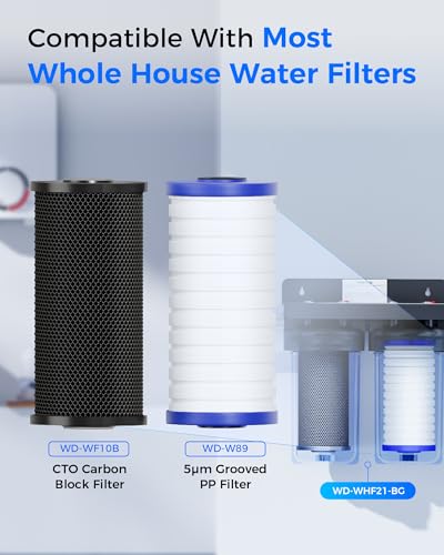 WF10BG Whole House Water Filter for WHF21 (2 Count)
