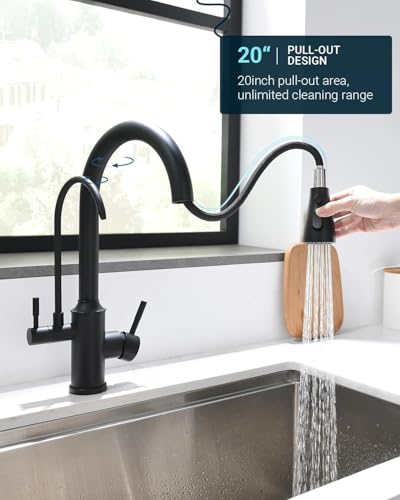 Kitchen Faucet with Water Filter