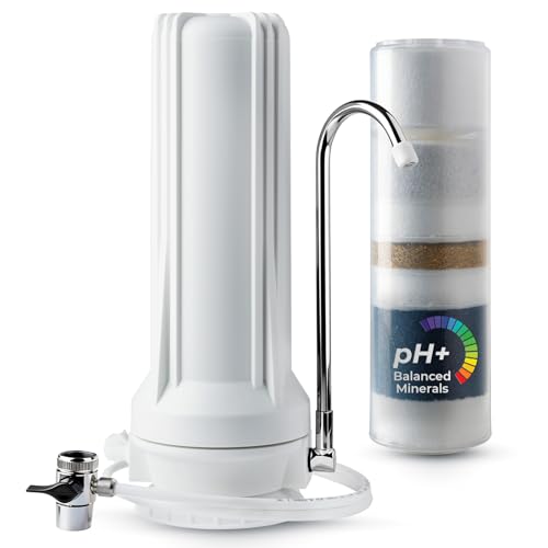 CT10 W Countertop Water Filter