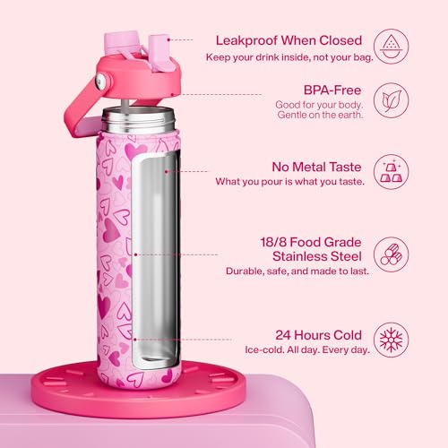 Insulated Water Bottle with Straw Stainless Steel Water Bottle