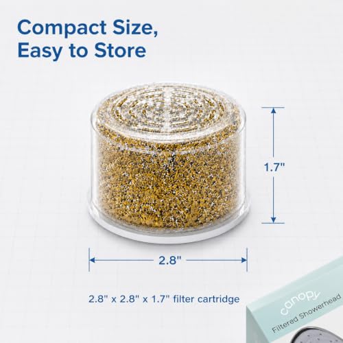 Water Filter Compatible with CANOPY Wall (2 Count)
