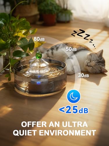 All Glass Cat Water Fountain