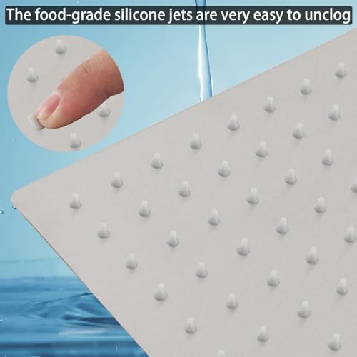 Filtered Shower Head