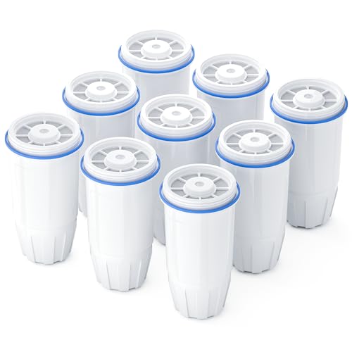 9 Pack Water Filter Replacement (9 Count)