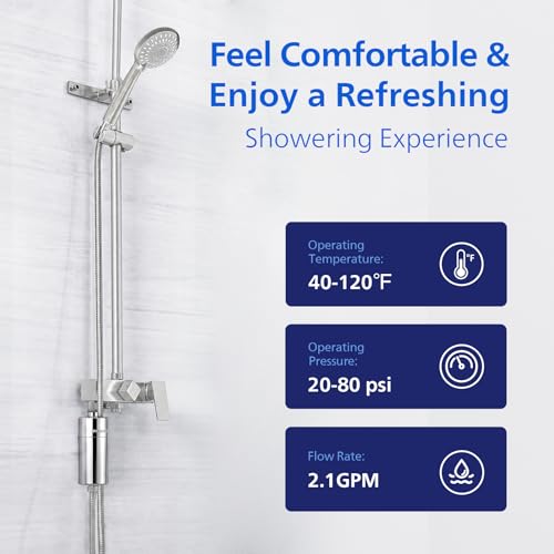 Shower Filter