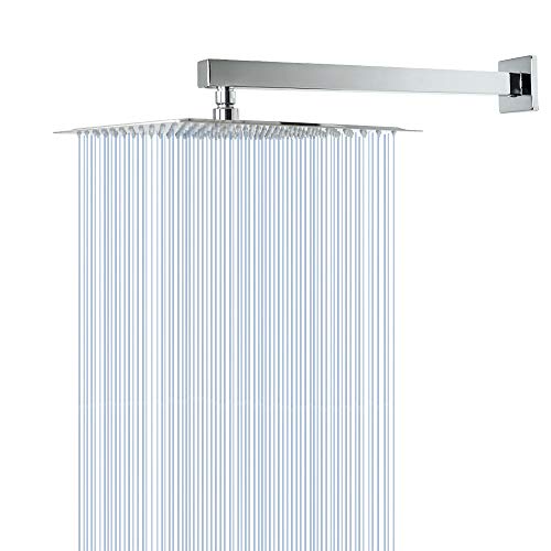 Shower Head with Extension Arm