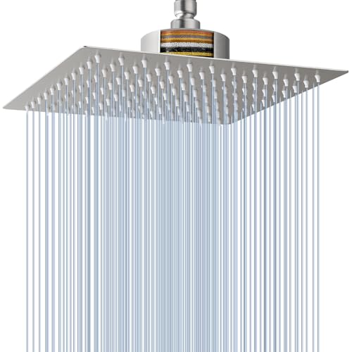 Rain Shower Head with Filtered