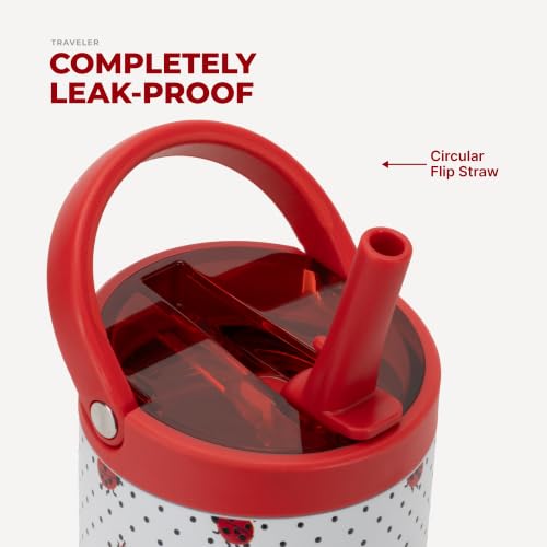Sport 20 oz Insulated Stainless Steel Water Bottle