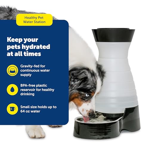 Healthy Pet Water Station