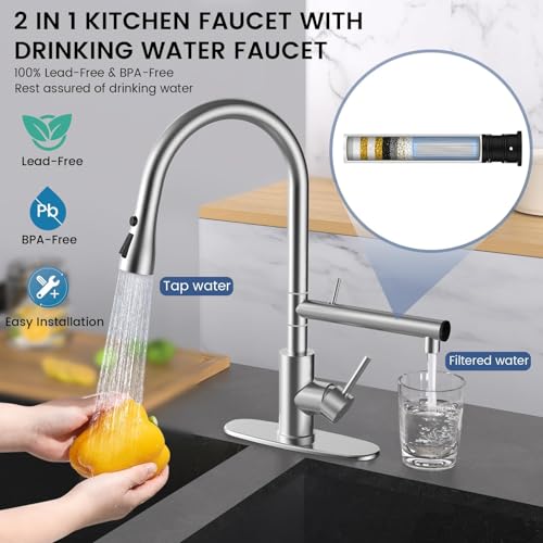 Filter Water Kitchen Faucets
