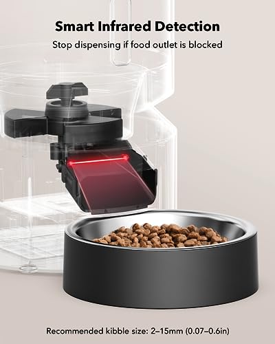 Automatic Cat Feeder