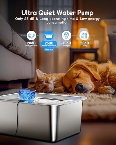 Large Dog Water Fountain Dispenser