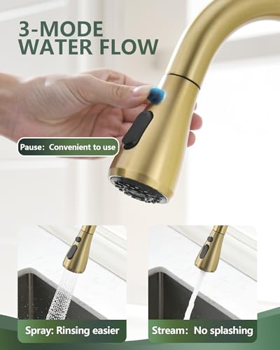 Kitchen Faucet with Pull Down Sprayer