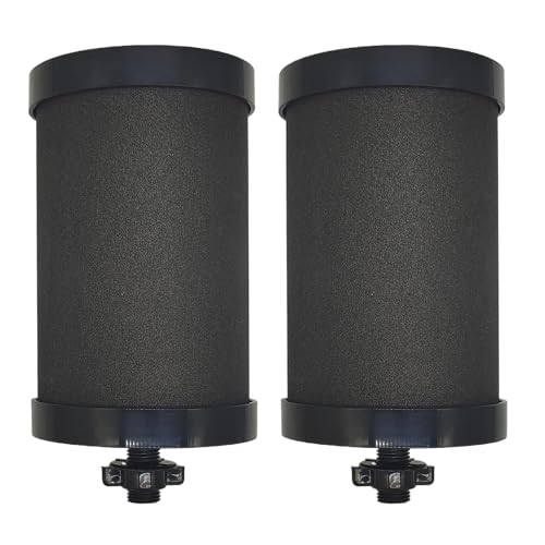 2387 Filter for Alexapure Water Filter Replacement (2 Count)