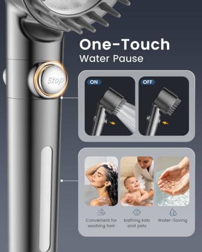 Filtered Shower Head with Handheld
