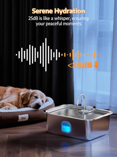 4.2Gal Dog Water Fountain for Large Dogs