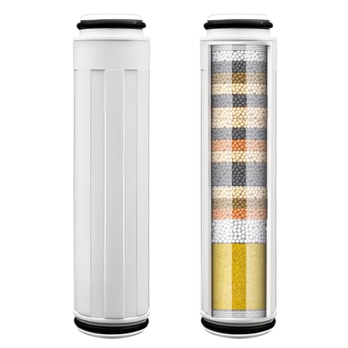 Shower Filter Compatible with FEELSO Handheld Shower Head (2 Count)